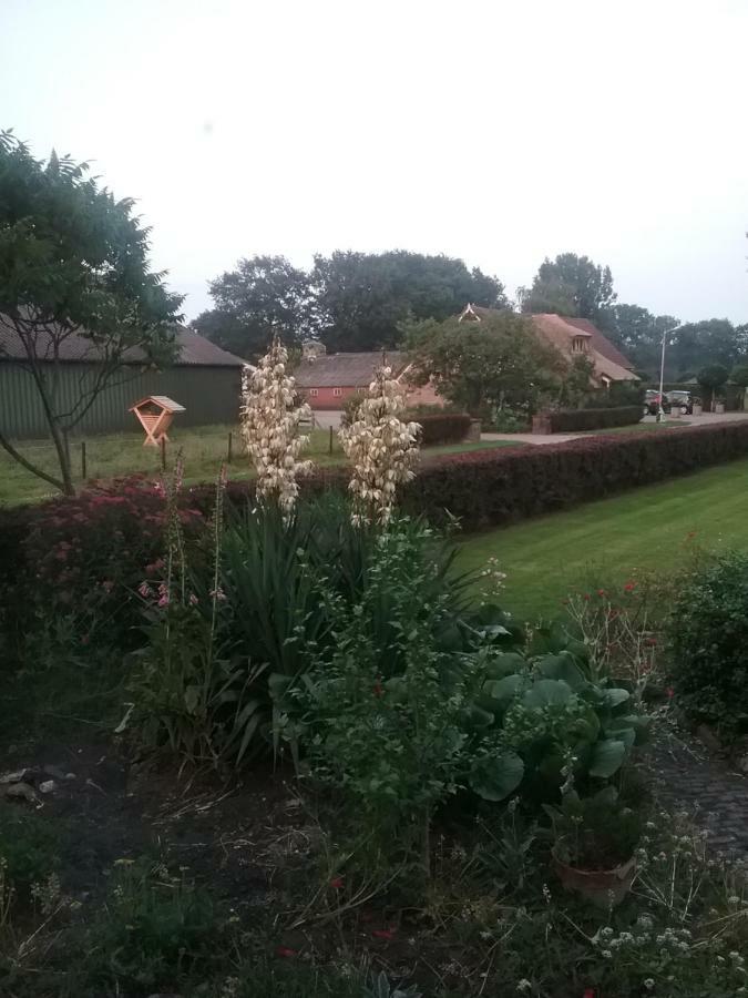 B&B An De Kraloerweg Ruinen Esterno foto